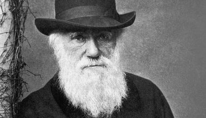 International Darwin Day